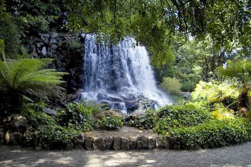 Iveagh Gardens