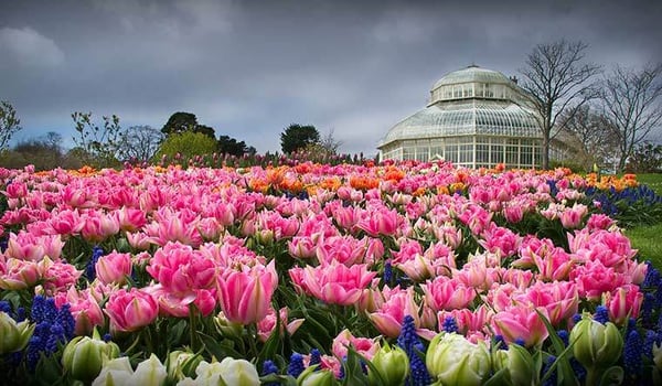 national-botanic-gardens